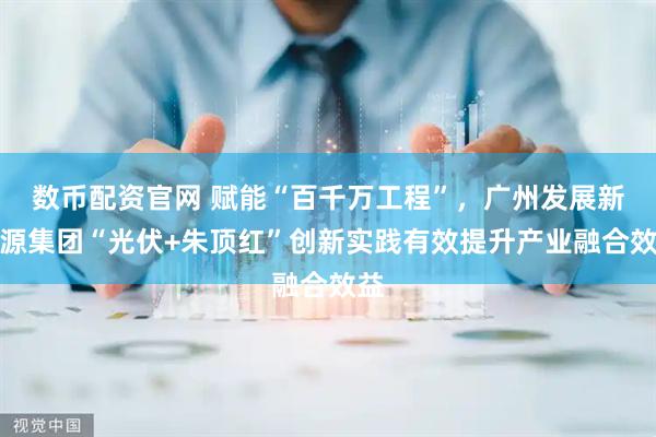 数币配资官网 赋能“百千万工程”，广州发展新能源集团“光伏+朱顶红”创新实践有效提升产业融合效益