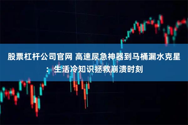 股票杠杆公司官网 高速尿急神器到马桶漏水克星:生活冷知识拯救崩溃时刻