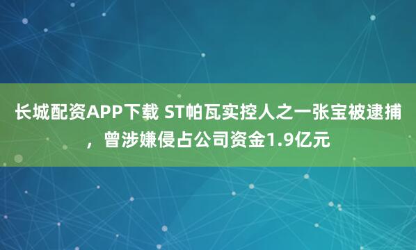 长城配资APP下载 ST帕瓦实控人之一张宝被逮捕,曾涉嫌侵占公司资金1.9亿元