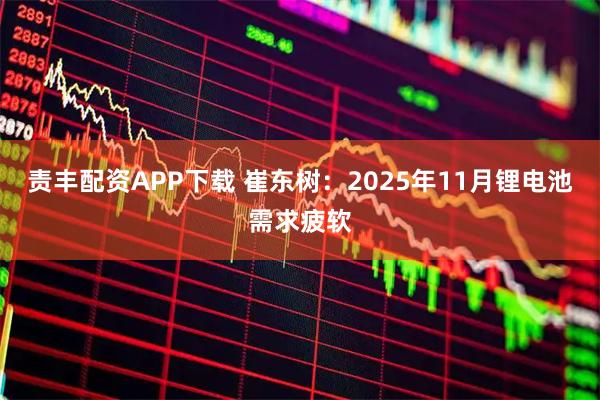 责丰配资APP下载 崔东树：2025年11月锂电池需求疲软
