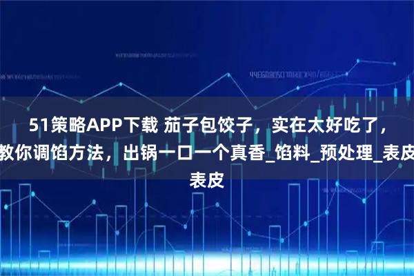 51策略APP下载 茄子包饺子，实在太好吃了，教你调馅方法，出锅一口一个真香_馅料_预处理_表皮