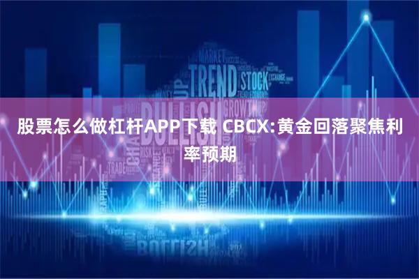 股票怎么做杠杆APP下载 CBCX:黄金回落聚焦利率预期